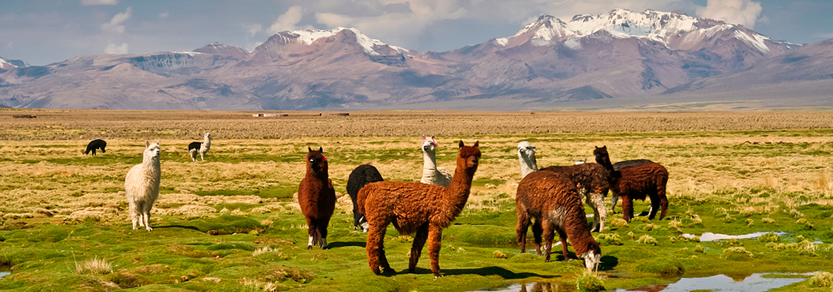 Peru, Bolívia, Čile - cestovateľské rady, tipy a itinerár