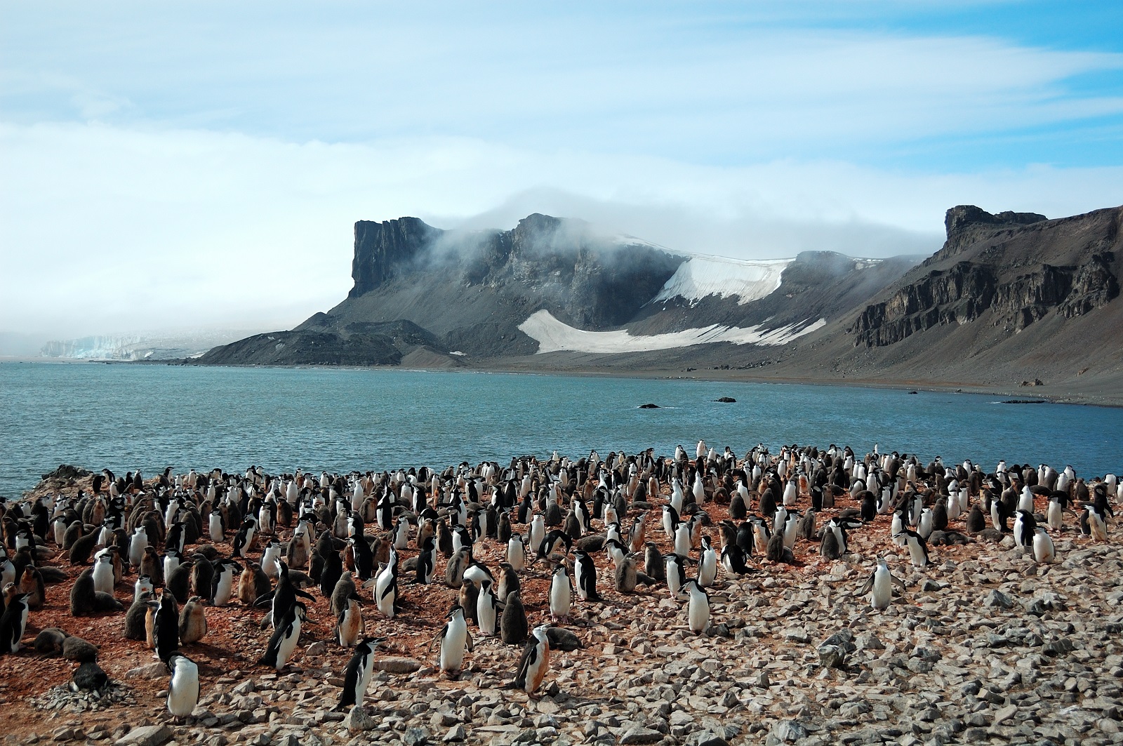 Antarktída - cestovateľské rady