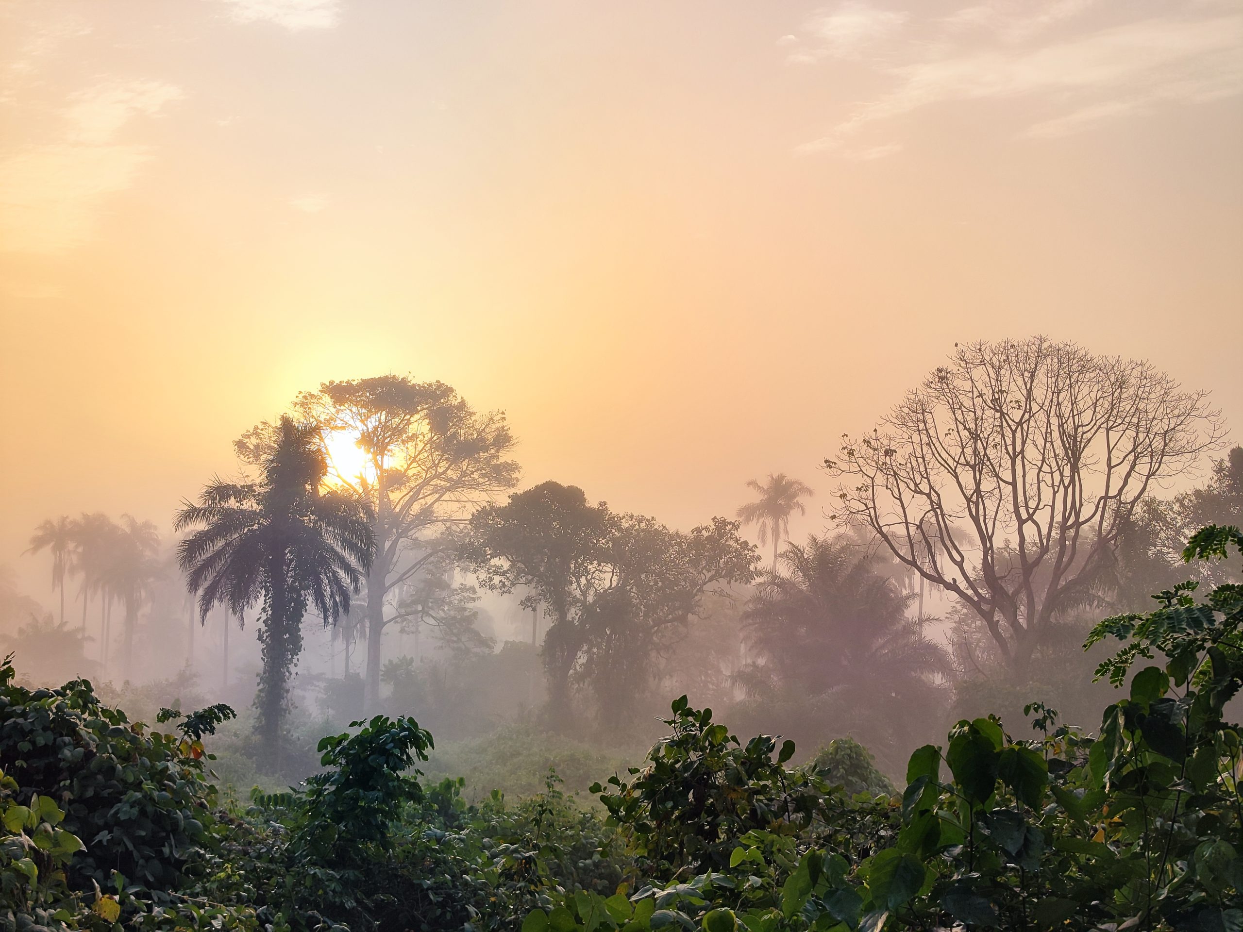 Guinea-Bissau – cestovateľské rady, tipy a itinerár