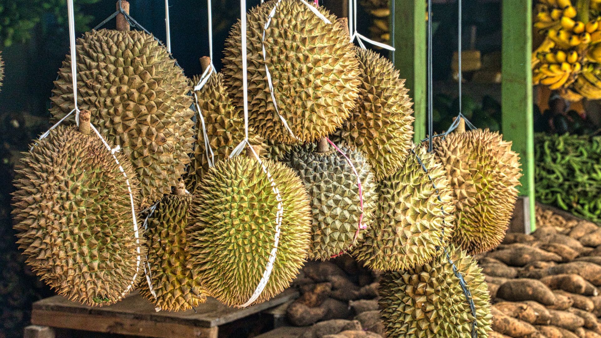 Páchne niektoré ovocie viac ako durian?